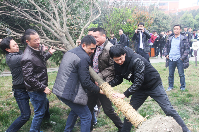 植樹節(jié):讓愛與綠色傳遞