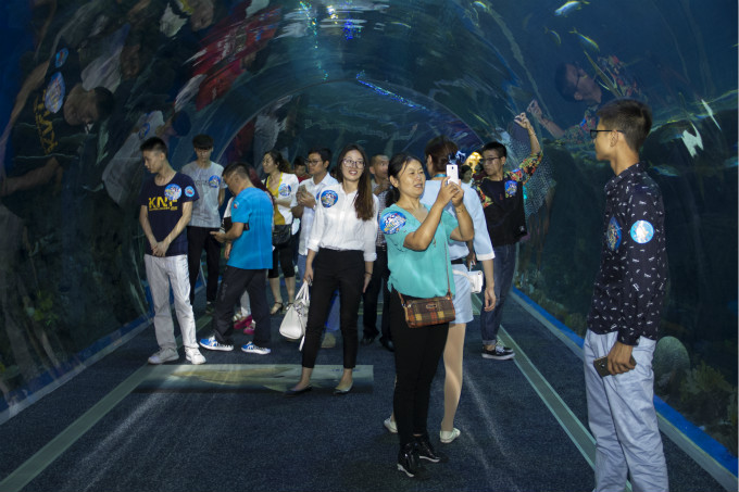 夏令營(yíng)第二季,新華學(xué)子一起遨游海洋王國(guó)