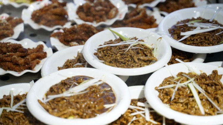 同學們深夜慎點!“舌尖上的新華”來啦~