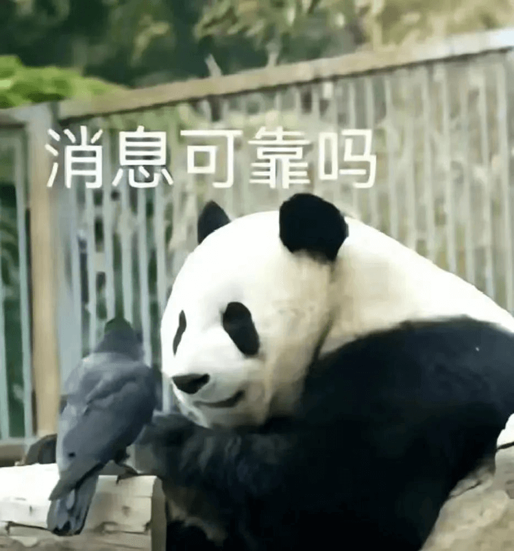 對(duì)口高考：升學(xué)壓力低，還可以沖本科