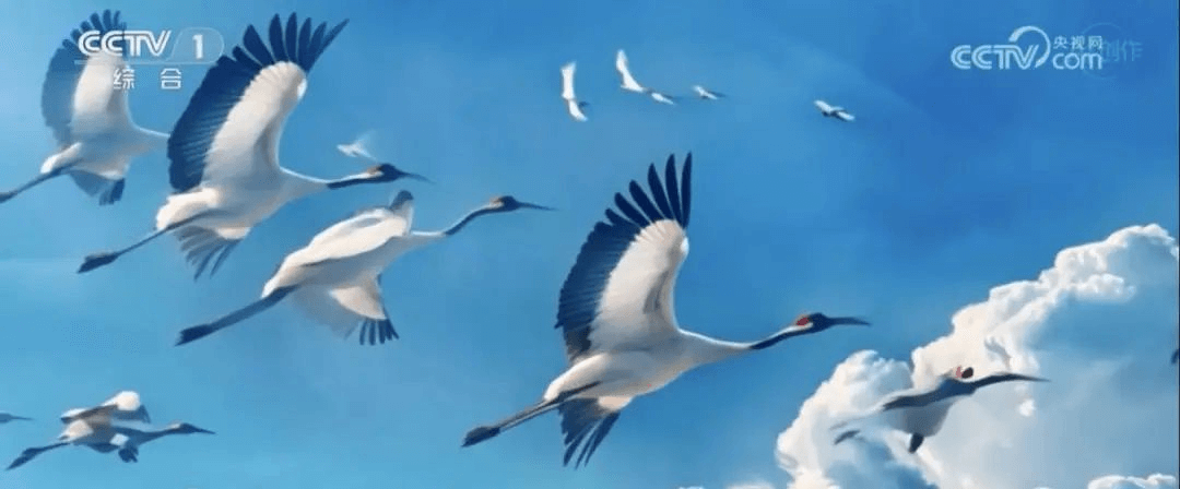 在就業形式嚴峻之下，新華這類人才卻被市場熱搶